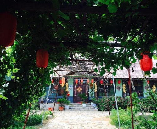 農家樂曾風靡一時,為何如今頻繁 倒閉 原因很現(xiàn)實