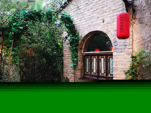 寇店鎮(zhèn)赴袁家村 取經(jīng) 學習