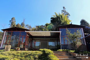 昆明金殿后山好去處 情意農(nóng)家樂 的經(jīng)典美食