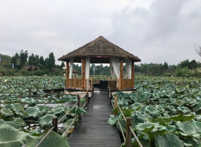 潼南區(qū)戶外活動-重慶城鄉(xiāng)網(wǎng)是鄉(xiāng)村振興的引領者,農(nóng)產(chǎn)品交易批發(fā),農(nóng)業(yè)基地,周邊游,周邊農(nóng)家樂,精品民宿,采摘園,鄉(xiāng)村旅游信息分享平臺,重慶周邊游-山.喂