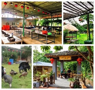 南寧好玩的農(nóng)家樂集合!摘果、窯雞、烤全羊、露營…隨你玩!