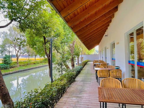 去上海青浦,看升級版農(nóng)家樂長什么樣