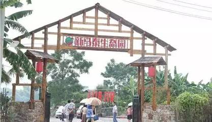 最全南寧農(nóng)家樂大盤點,年會和聚會就去這些地方了!_其它_網(wǎng)