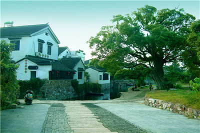 在家致富好項目有哪些?這4個農(nóng)村創(chuàng)業(yè)項目“錢”景可觀!