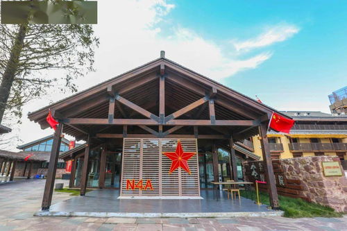 新春游攻略②丨期待 六區線路邊賞邊玩,今年春節就這么過