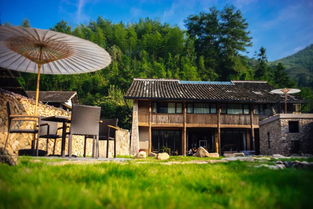 水上飛人,美女dj,音樂派對...超炫超好玩,桃源親水節帶你嗨翻今夏