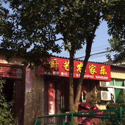 長(zhǎng)沙采摘農(nóng)家樂(lè)：廚藝農(nóng)家樂(lè)全攻略