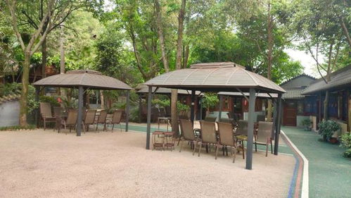 到生態(tài)農(nóng)家樂(lè)地主大院，品嘗魚(yú)的千滋百味吧