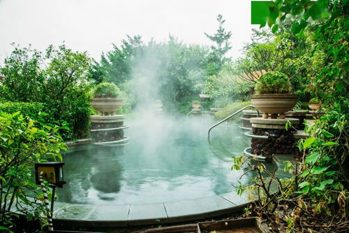 農家樂喜迎龍門發千萬資金扶持