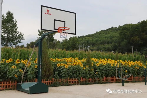 和政縣石咀村 向日葵基地與農家樂共繪鄉村振興新畫卷