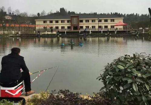 祝賀2018年度夷陵十佳民宿暨精品農家樂評選結果揭曉