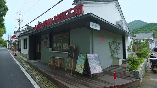 數(shù)字鄉(xiāng)村調(diào)研行 新村民助力鄉(xiāng)村振興，農(nóng)家樂加‘?dāng)?shù)’跑